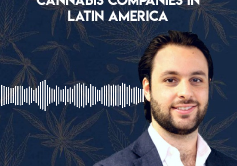 Investing in and Developing Cannabis Companies in Latin America